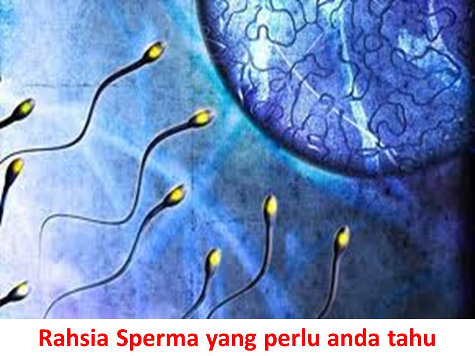 Rahsia Sperma yang perlu anda tahu | Wannura Terapi